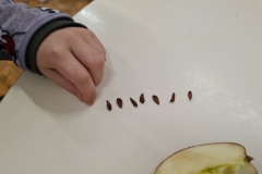 246500635_733523518048095_8548798377711704318_n