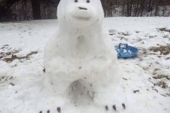 sniego meskutis